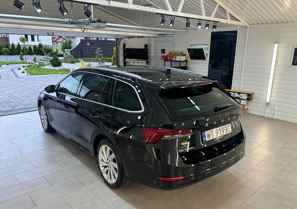 Skoda Octavia cena 105900 przebieg: 52700, rok produkcji 2021 z Bodzentyn małe 562